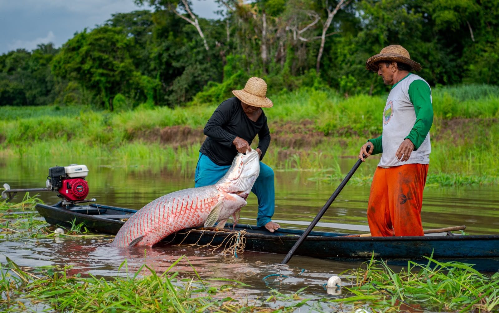 Mamirauá completa 30 anos como referência mundial