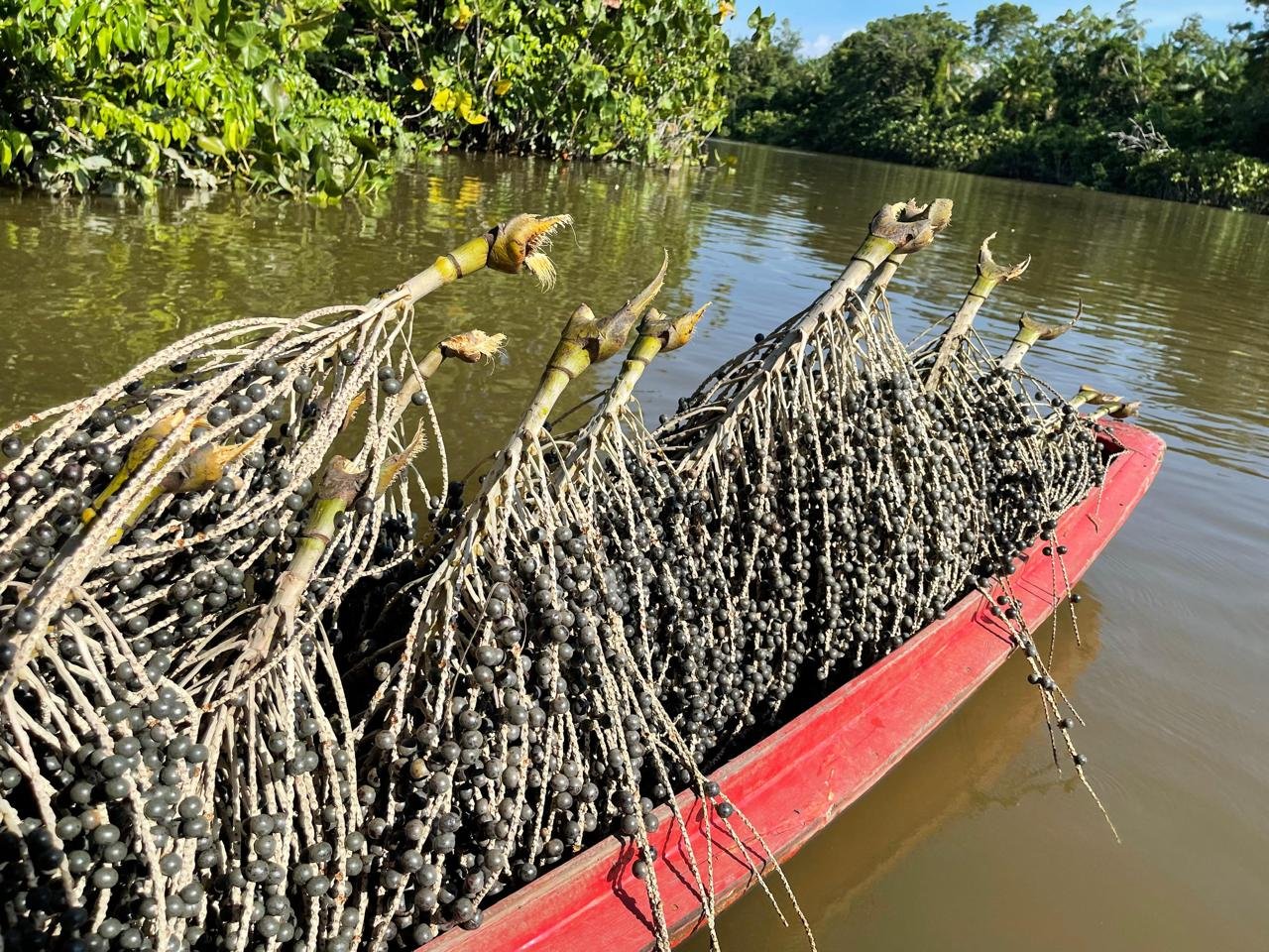 Raiz Empreendedora amplia atuação na Amazônia