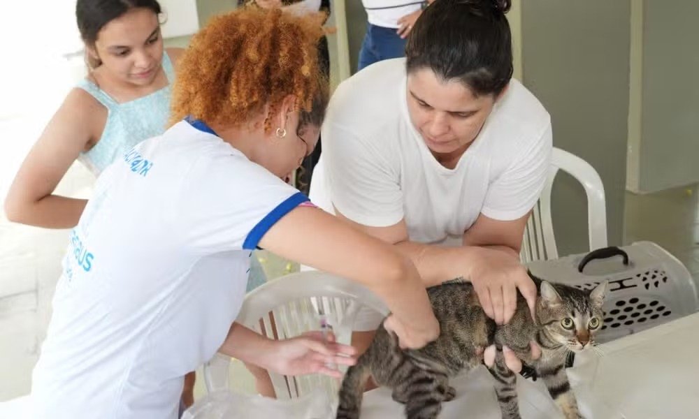 Campanha antirrábica de Manaus terá 270 vacinadores