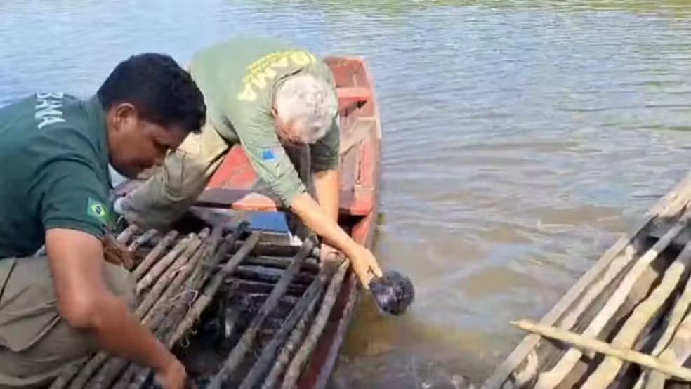 Duas embarcações são apreendidas no Amazonas