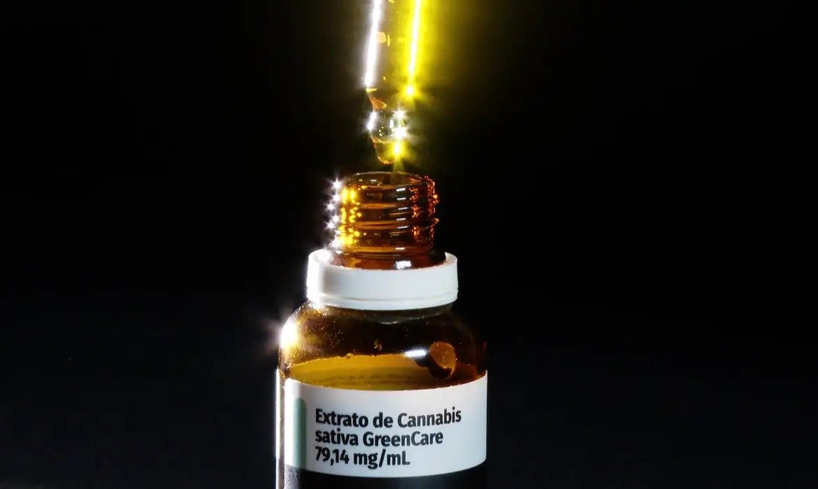 Anvisa registra alta nas autorizações de cannabis