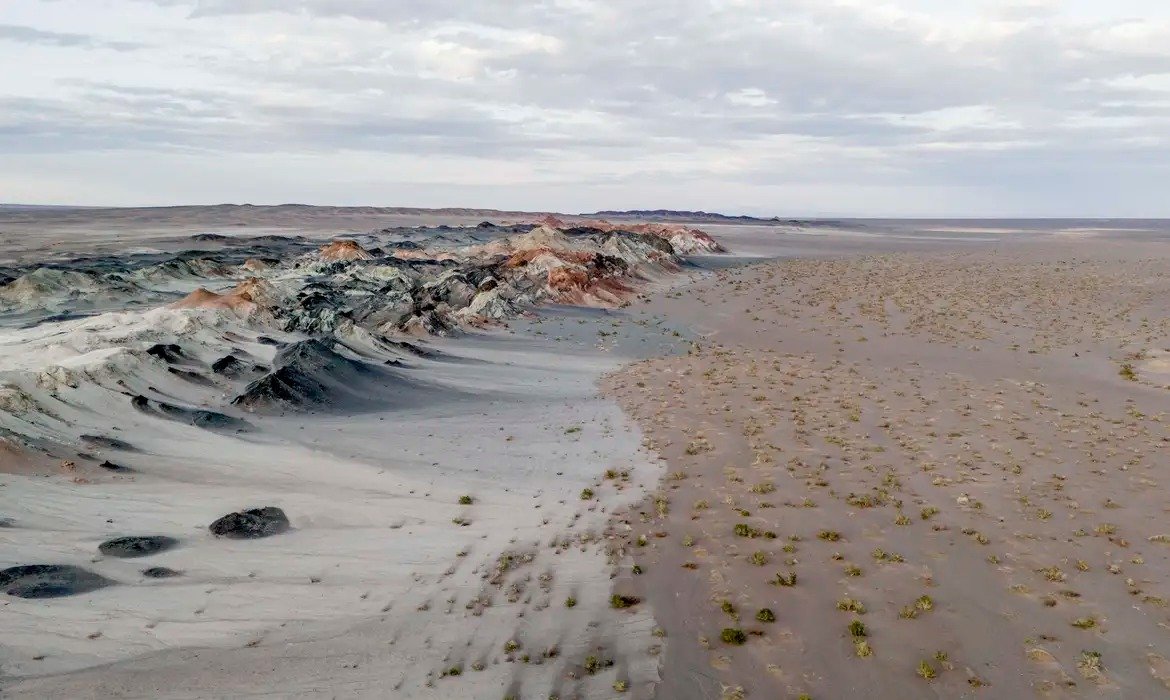 Estudo revela diversidade de fungos no Gobi