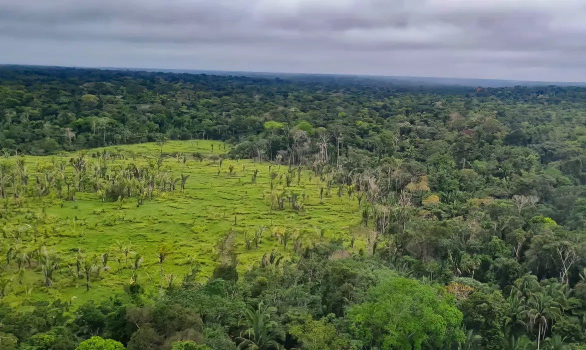 Terras indígenas e conservação da Amazônia