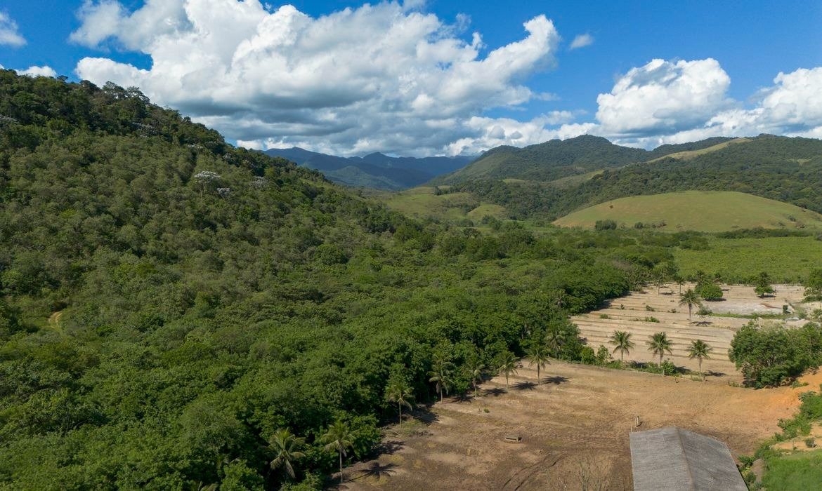 Mata Atlântica registra avanço agrícola e recuperação de vegetação